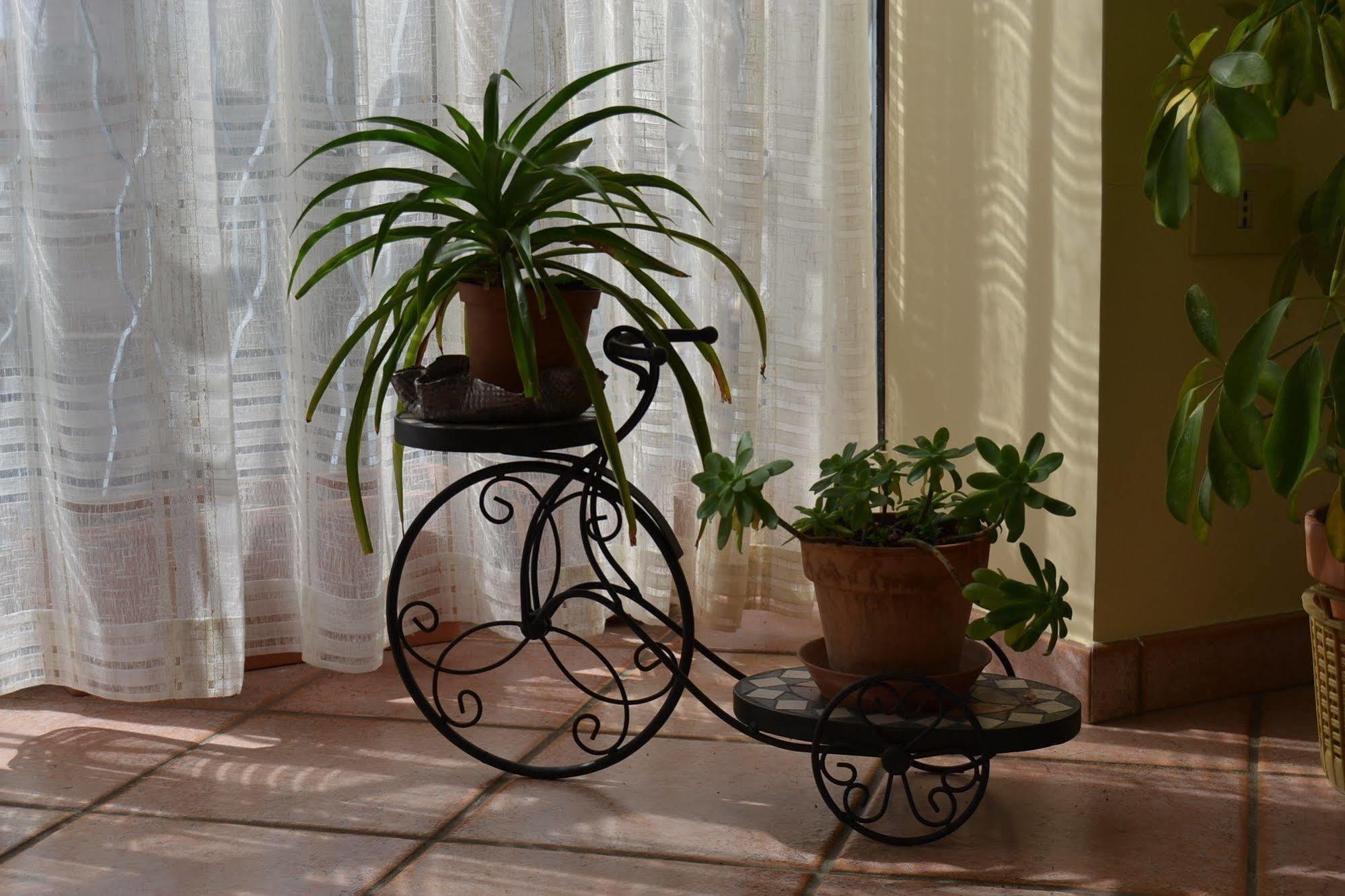 Bed & Breakfast Marena Sant'Agata Li Battiati 外观 照片
